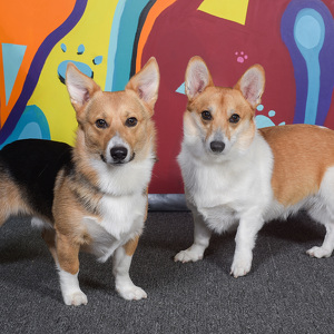 Fundraising Page: Peggy Mahlmeister